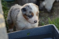 jethro